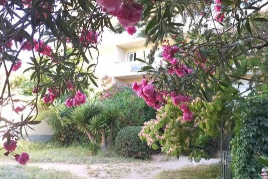 Toulon Est La Valette Studio 35M2 Dominant Parking Proche Mer Apartment Exterior photo